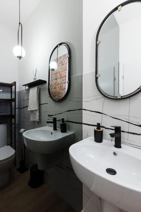 Joy City Stay Piatra Craiului 8 Temešvár Exteriér fotografie