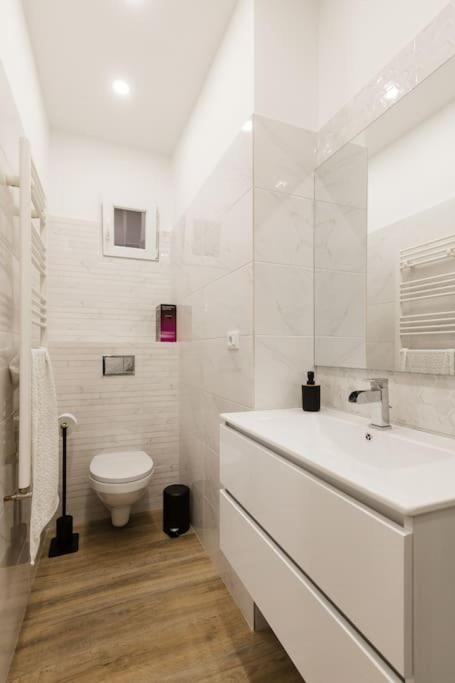 Joy City Stay Piatra Craiului 8 Temešvár Exteriér fotografie